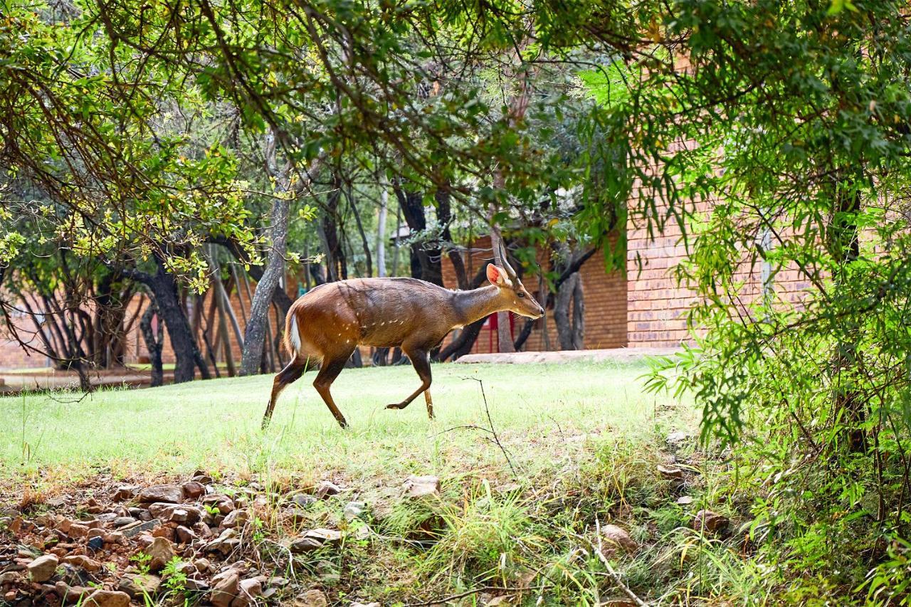 Hotel First Group Magalies Park Hartbeespoort Exterior foto
