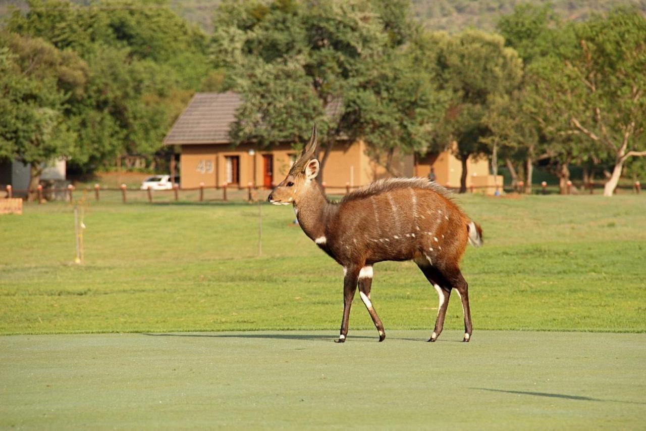 Hotel First Group Magalies Park Hartbeespoort Exterior foto